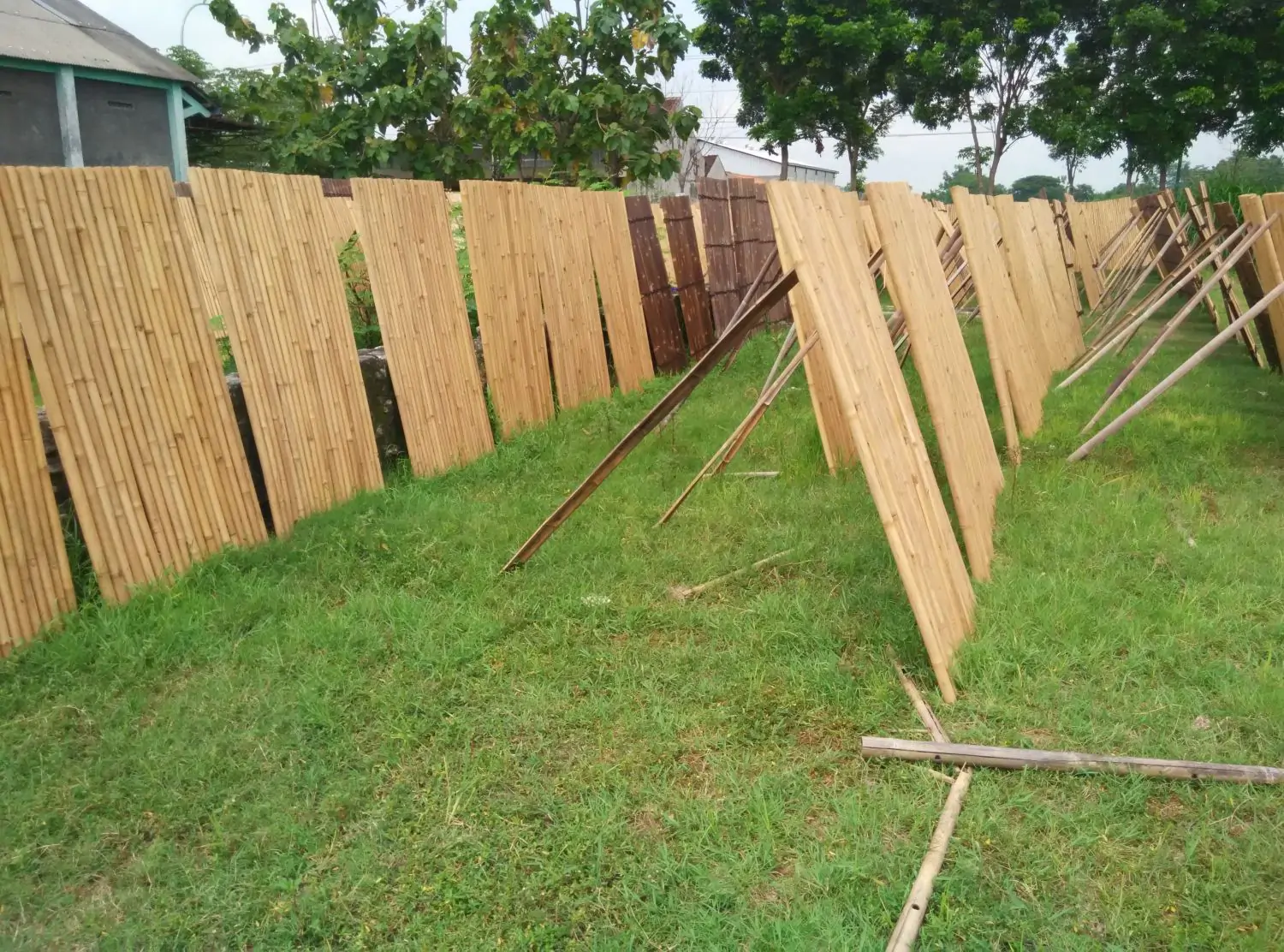  Product image 3 of the product “Bamboo  element Model Surabaya, rigid, yellow-brown (Apus). Diameter 3-5cm 90 x 180 cm Height. ”